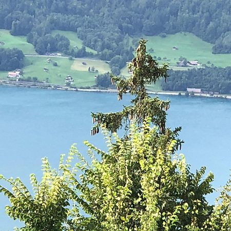 Wohnung Mit See Und Bergsicht Im Vier Sterne Hotel Beatenberg Dış mekan fotoğraf