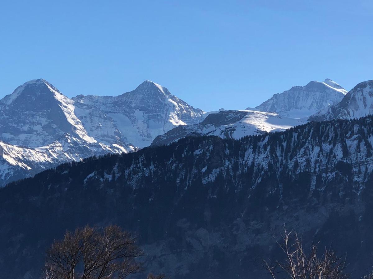 Wohnung Mit See Und Bergsicht Im Vier Sterne Hotel Beatenberg Dış mekan fotoğraf