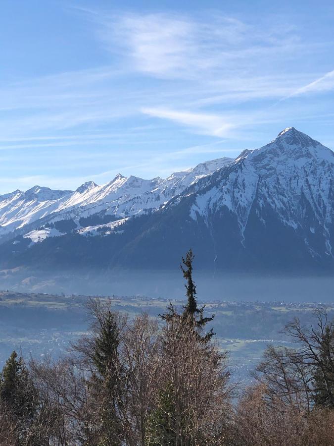 Wohnung Mit See Und Bergsicht Im Vier Sterne Hotel Beatenberg Dış mekan fotoğraf