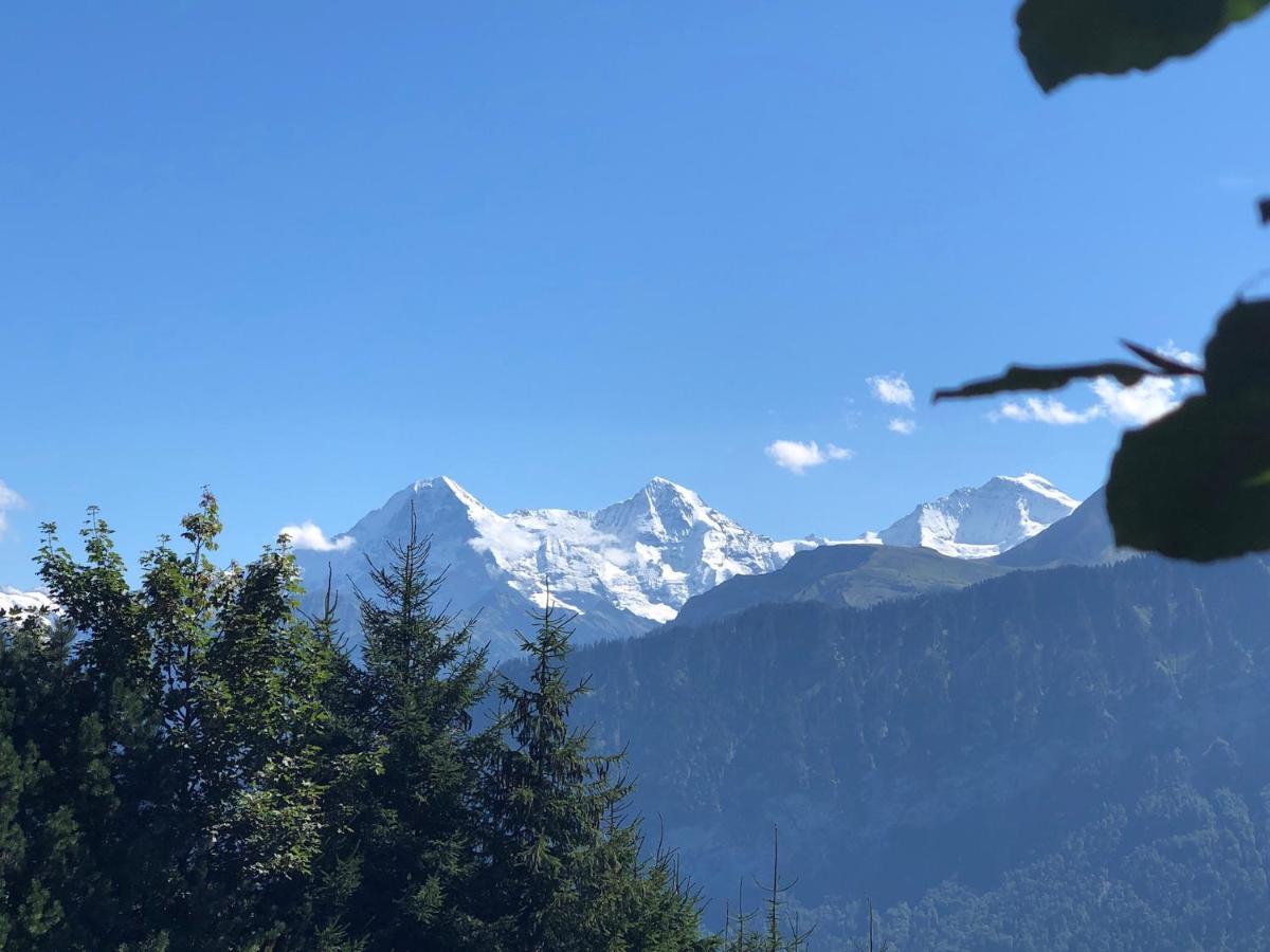 Wohnung Mit See Und Bergsicht Im Vier Sterne Hotel Beatenberg Dış mekan fotoğraf