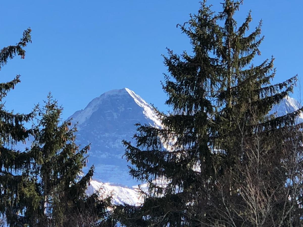 Wohnung Mit See Und Bergsicht Im Vier Sterne Hotel Beatenberg Dış mekan fotoğraf