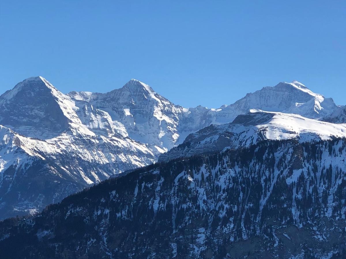 Wohnung Mit See Und Bergsicht Im Vier Sterne Hotel Beatenberg Dış mekan fotoğraf