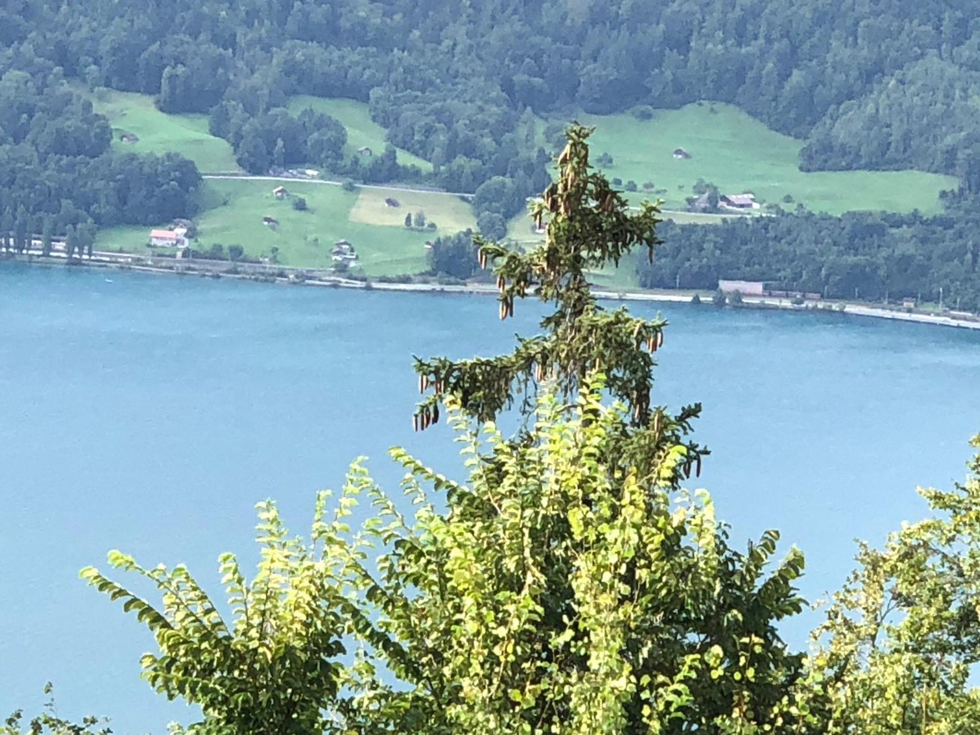 Wohnung Mit See Und Bergsicht Im Vier Sterne Hotel Beatenberg Dış mekan fotoğraf